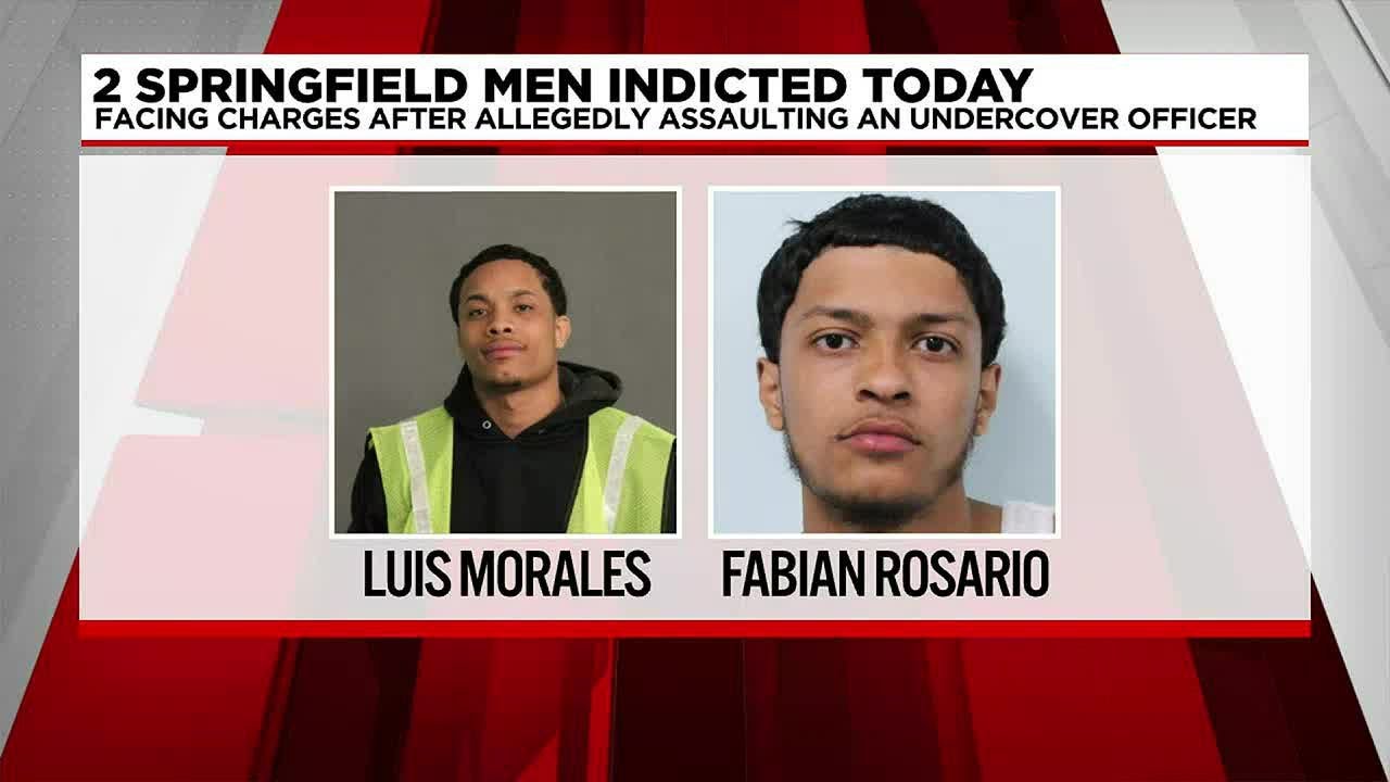 2 Springfield men facing charges after allegedly assaulting an ...