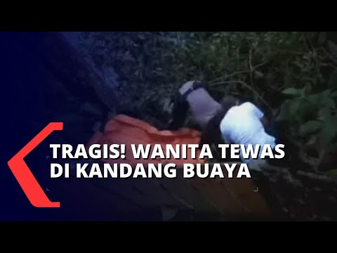 Mayat Wanita Ditemukan di Kandang Buaya, Telanjang dan Mulut Terlilit Isolasi