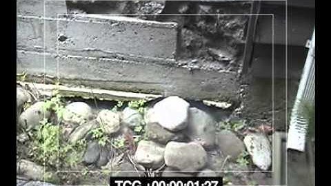 Bravo Environmental NW smoke testing for sewer infiltration & inflow and cross connections