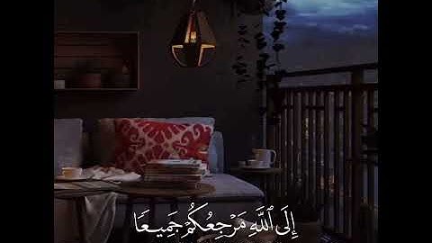 قران كريم | بصوت القارئ ماهر المعيقلي | حالات واتس اب♥♥.