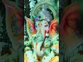ShreeGanesh 🙏🙏🙏 #shreeGanesh #ganesha #ganpatibappamorya #youtubeshorts #shortsvideo