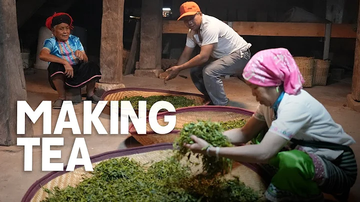 China's OLDEST Tea Farm - Traditional Chinese Tea Production (Best Puer Tea) | EP29, S2 - DayDayNews