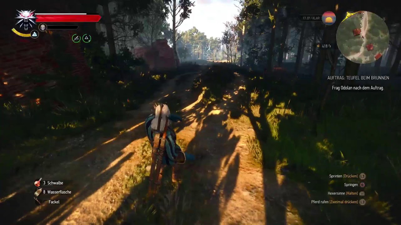 Das R Team präsentiert: The Witcher 3 Reicht Abos eurem Friesen.