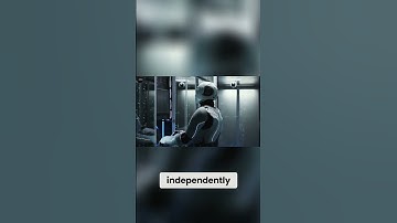 The Rising Influence of Female Humanoid Robots in Society