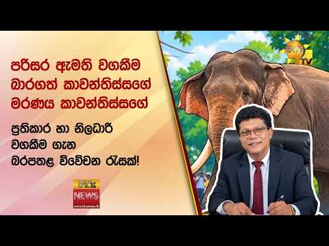 පරිසර ඇමති වගකීම බාරගත් කාවන්තිස්සගේ මරණය - Hiru News