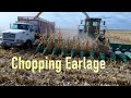 Chopping Earlage, NW Iowa, 2019 Harvest