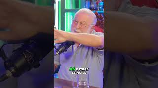Pitágoras: Humanos, a Criação Divina do Universo? #shorts