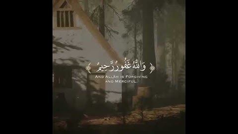 أفلا يتوبون إلى الله القارئ وديع اليمني