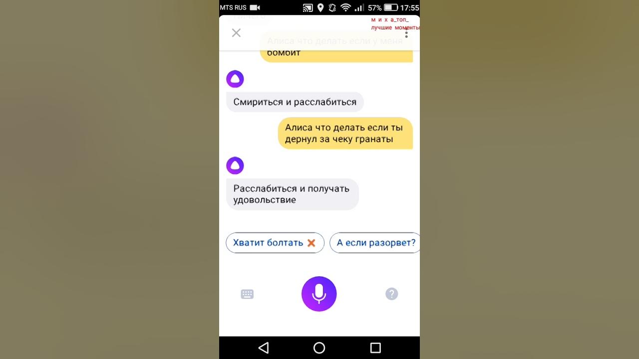 Алиса голосовой помощник алиса алиса. Что нибудь алис. Ну как это сделать алиса. Алиса голосовой помощник маскот. Ну как это сделать алиса.