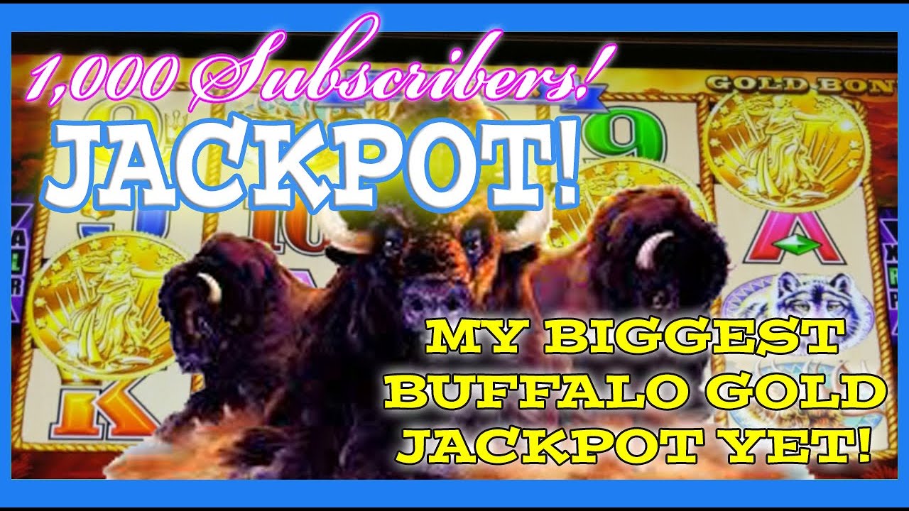 buffalo gold biggest jackpot