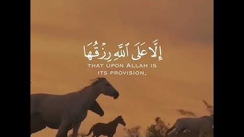 ما تيسر من سورة هود بصوت الشيخ ياسر الدوسري 🤍