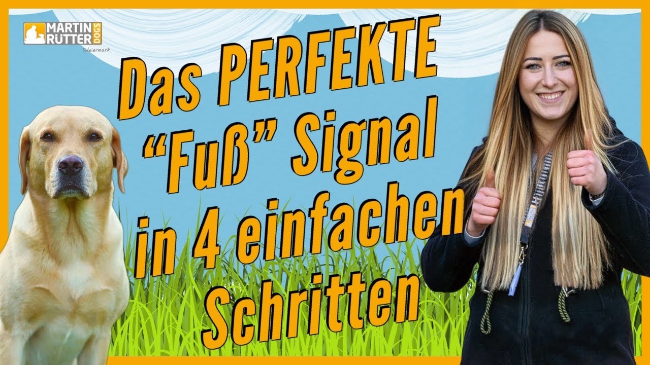 Hundetraining | Leinenführigkeit - Das Fuß Signal Aufbauen in 4 Schritten vom Hundeprofi erklärt