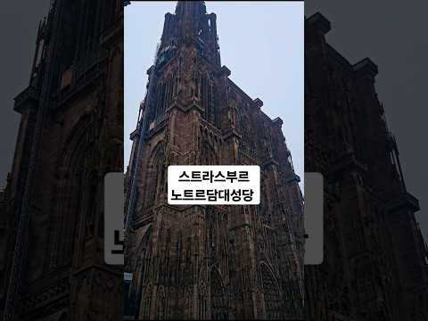 노트르담 대성당 스트라스부르 #노트르담대성당