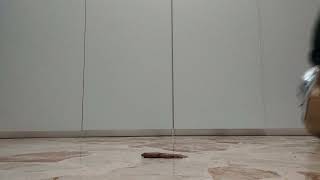 Crush In Silver Heels Sandals Chocolate