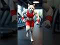 White cat Running #kidsvideo #cat #funnycat #kids #kidssongs #babyanimals #pushups