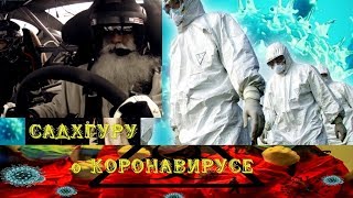 Коронавирус COVID19 - это природа дает нам урок! 25 марта 2020 г.