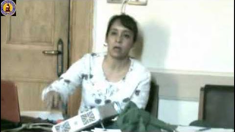 Proposal Writing Workshop with Randa Abou Bakr & Walid El-Hamamsy (Part 10 of 13)