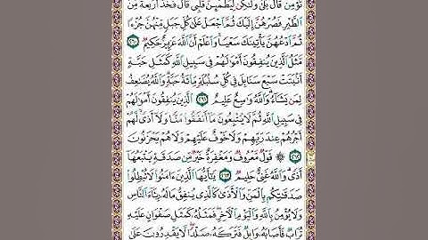 تلاوة الصفحة 44 | قصة إبراهيم عليه السلام والطيور الأربعة