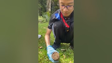 Soil sampling using cylinder by Zahfrie