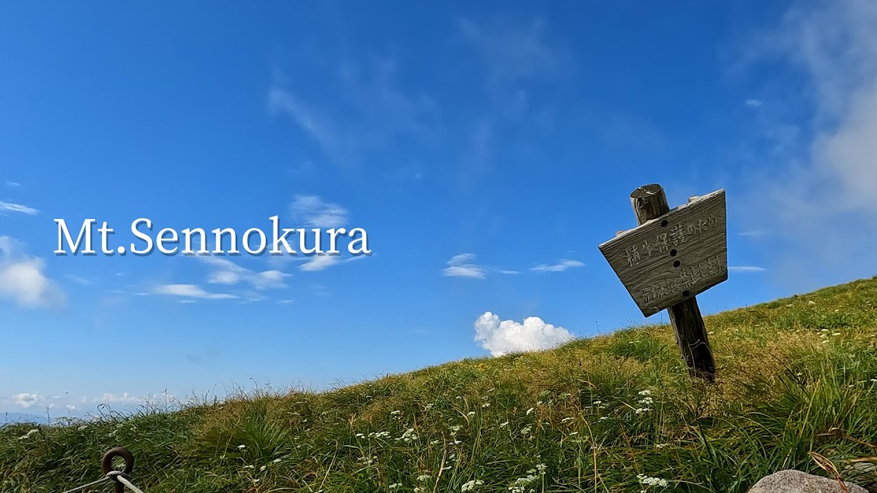 登山に行きたくなる動画 53 夏の花の百名山 仙ノ倉山 平標山 Love Psychedelico Beautiful World Youtube
