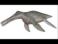 Dolichorhynchops Sound Effect
