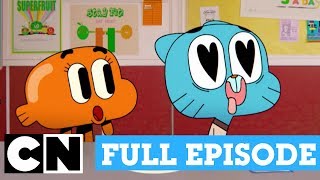 The Amazing World of Gumball | FULL EPISODE The Party | Cartoon Network