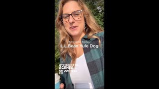 Behind the Scenes: L.L.Bean Yule Dog