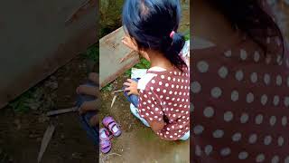 panda nyari kodok#bermain #funny #trendingshorts