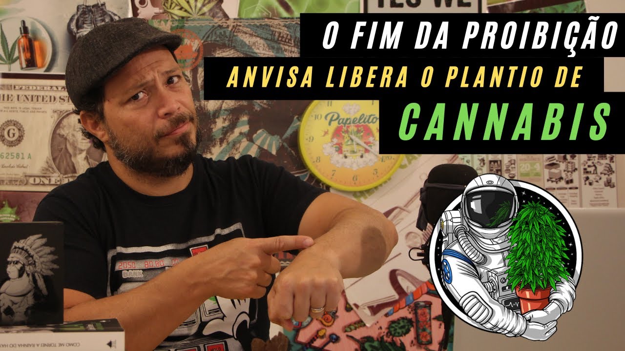 A ANVISA VAI LIBERAR O PLANTIO? Tudo sobre a DECISÃO que pode MUDAR o cenário!