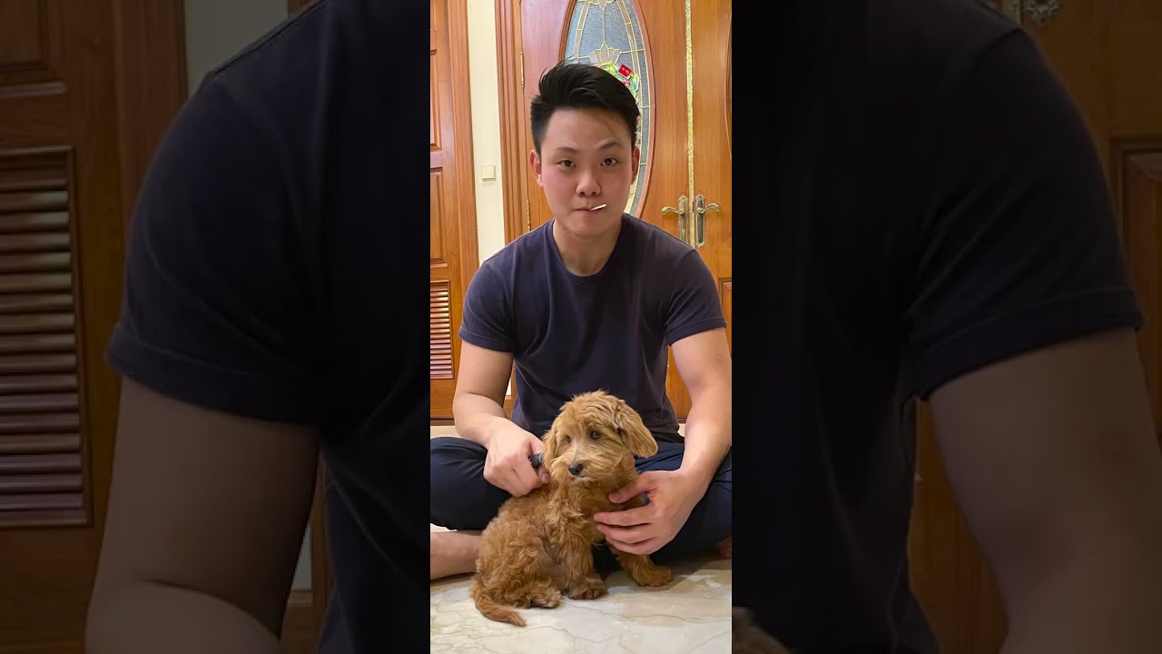 happy birthday sein min!