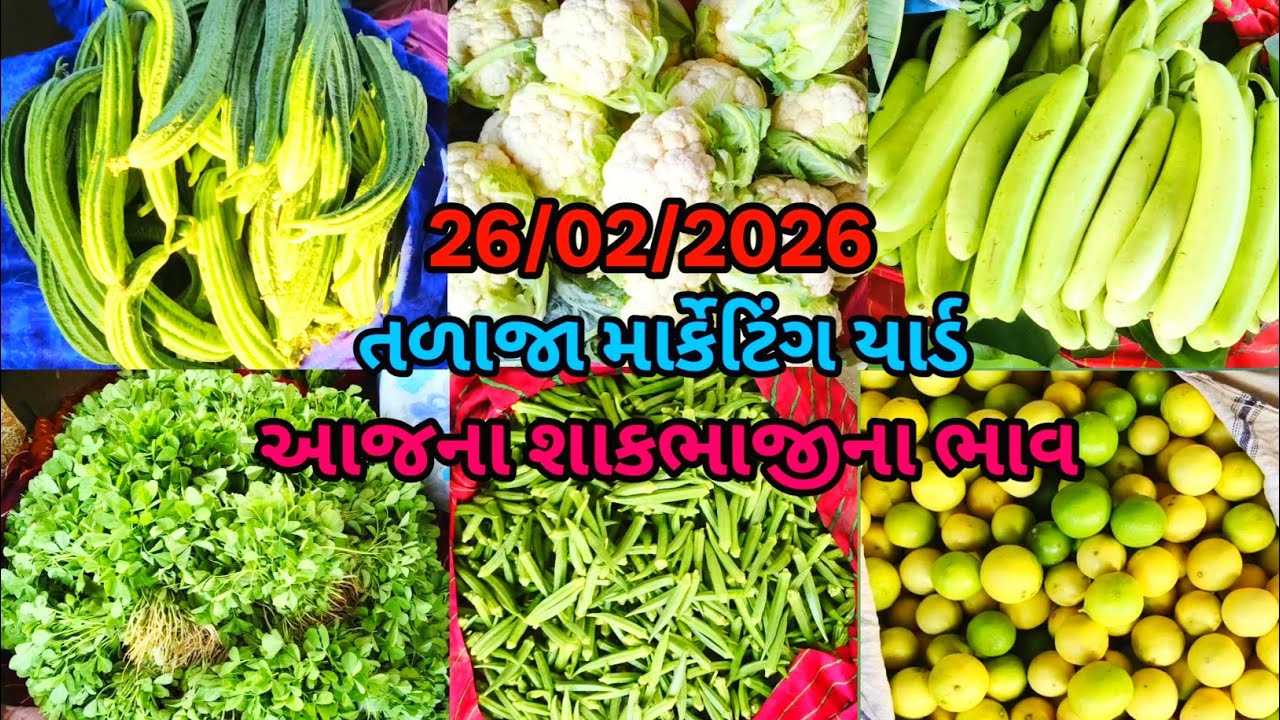 તળાજા માર્કેટિંગ યાર્ડ તમામ શાકભાજીના ભાવ જોવો અને જાણો હોલસેલ શાકભાજીના ભાવ