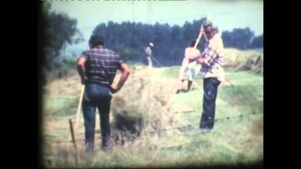 Rasines. Ojebar y la siega