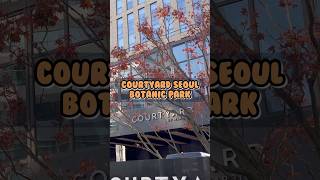 Courtyard Seoul Botanic Garden Room Tour #marriott #marriottbonvoy #courtyard #seoul #korea