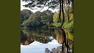 Gentle Waters in Calm Reflection 2