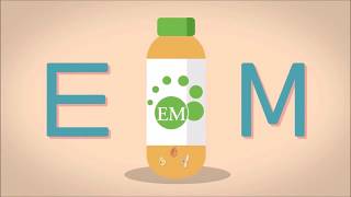 Что такое ЭМ?