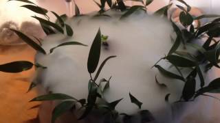 Prague Michelin Restaurant - Field Restaurant