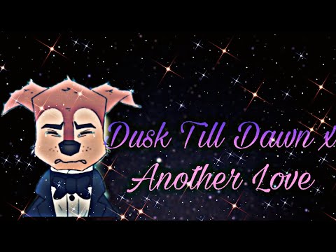 Chase x Skye💙🐾💖 || Dusk Till Dawn x Another Love
