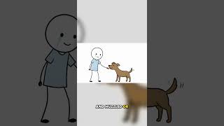 Does Your Dog Know When You're Sad?