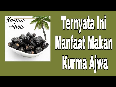 Jual Kurma Ajwa hitam pekat Termurah Jual Kurma Ajwa hitam pekat Termurah