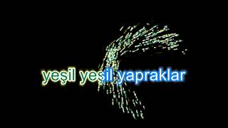 Rüzgarin Şarkisi Sözlü