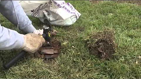 How to Power Bed Traps, Bedding traps with nails and peat moss for coyotes