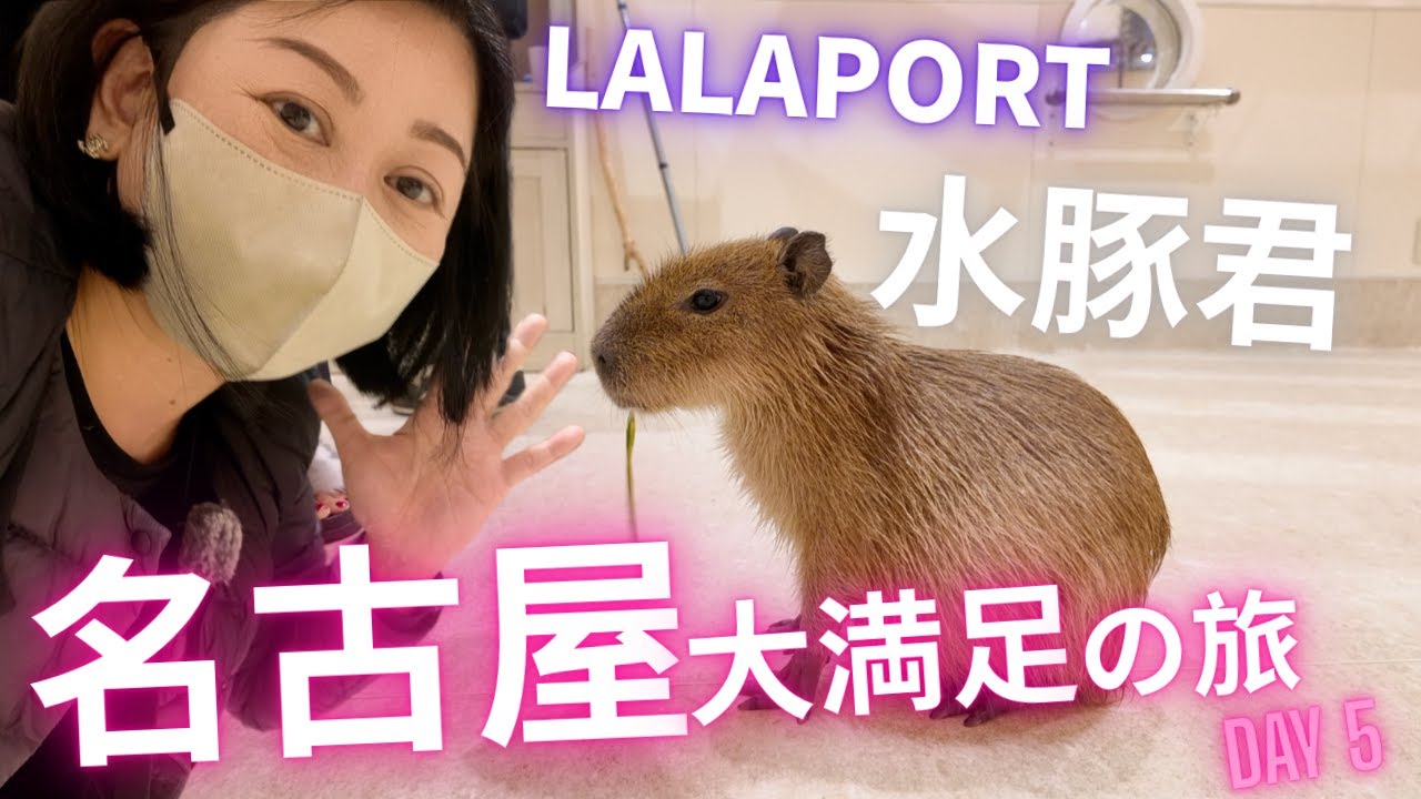 親親水豚君🦫室內動物園🦥名古屋Lalaport💯中部機場3小時🈵名古屋大満足の旅 2025 DAY 5