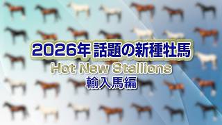 YT1101JR001398