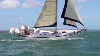 Tradewinds 35 Cutter sailing on Moreton Bay