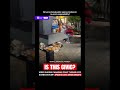 Video Shows Charging Point Turned Into Garbage Dump, Sparks Civic Sense Debate