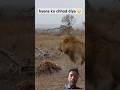 👉 Hyena Escapes Lion Attack 😱 Real Reason #animalshorts #worldwildlife @londolozigamereserve