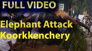 Full Video | Elephant Attack | കൂർക്കഞ്ചേരി പൂയത്തിനിടെ ആന ഇടഞ്ഞു