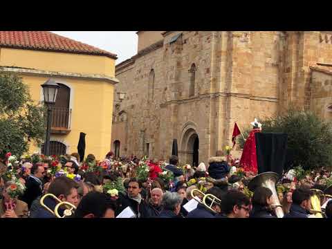 Cofradía de la Santísima Resurrección