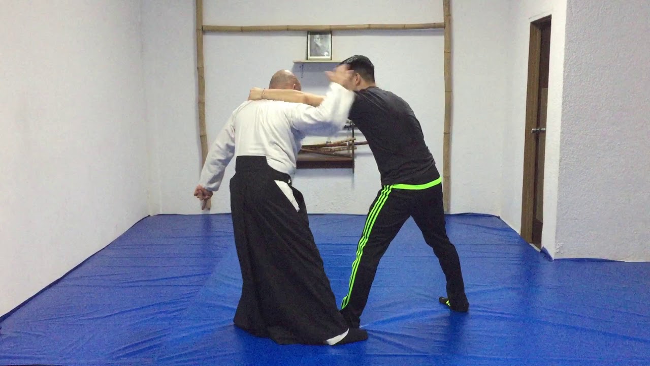 Aikido, takedown, ushiro waza (tecnica vs agarres por la espalda) YouTube