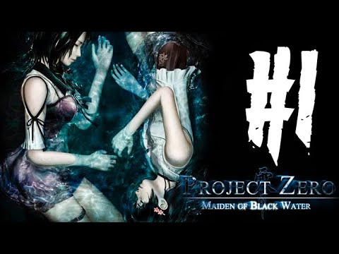 Видео: Выпущена игра 3DS Project Zero / Fatal Frame